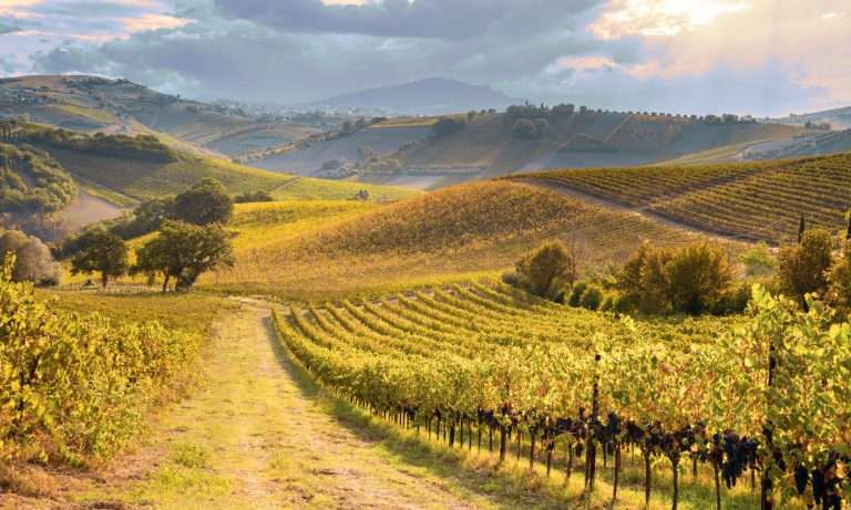 Chianti Dreamer Real Estate