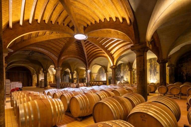 Wine Business_Dreamer Real Estate