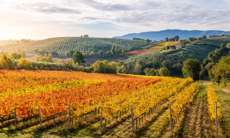 Living in Italy: Tuscany and Umbria