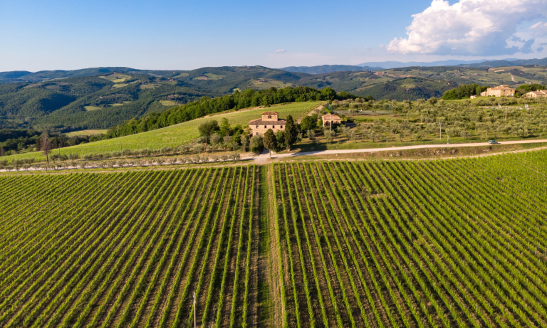 Wineries, Wines and Farmhouses with Vineyards in Tuscany - Cantine, Vini e Casali con Vigneti in Toscana